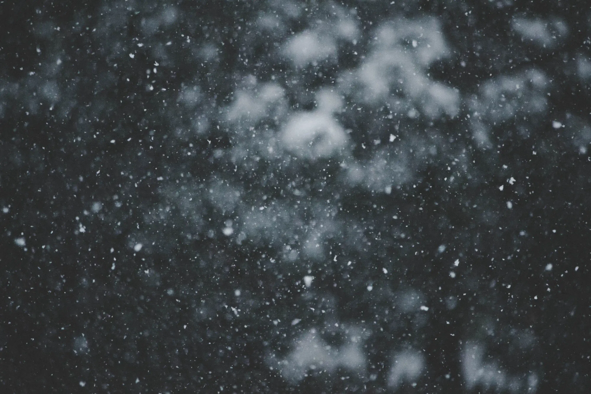 Syllabus | Winter 2025